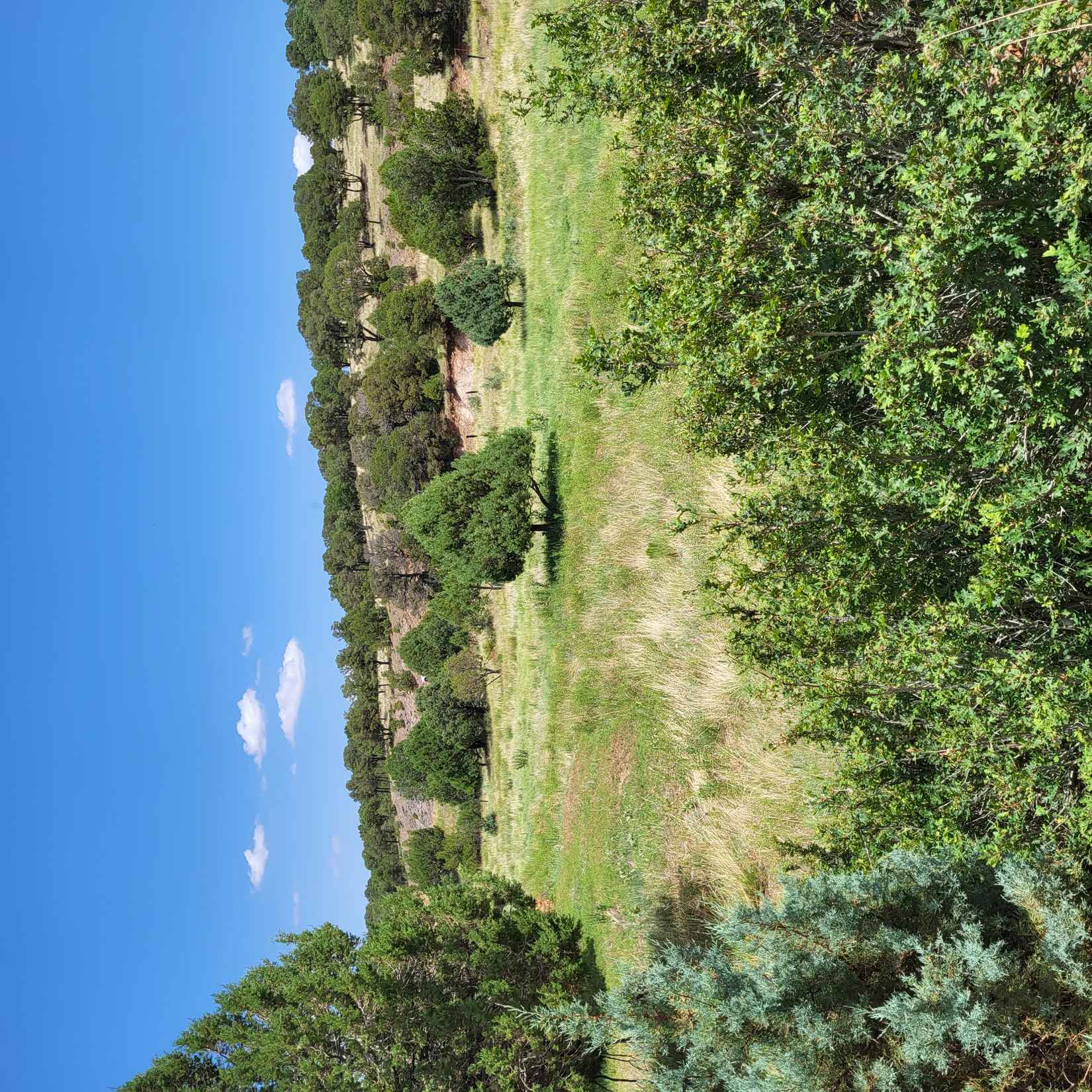 1 Wolf Crk Rd  