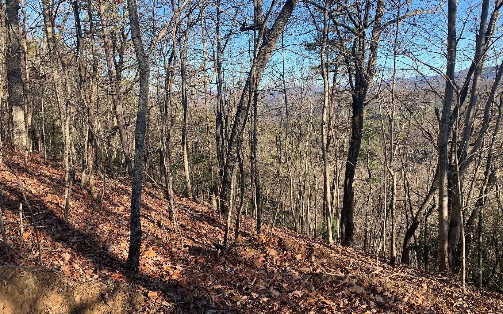 Lot25 Laurel Mtn Dr  