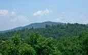 12 36 Brown Ln  