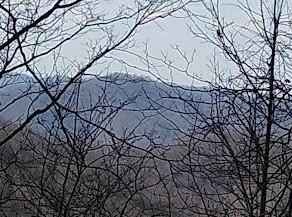 683 Right Fork of Rockhouse Rd  