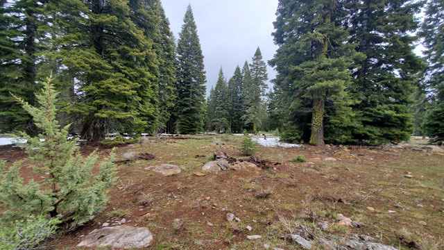 Lot 6 amp 7 Kern Rd  