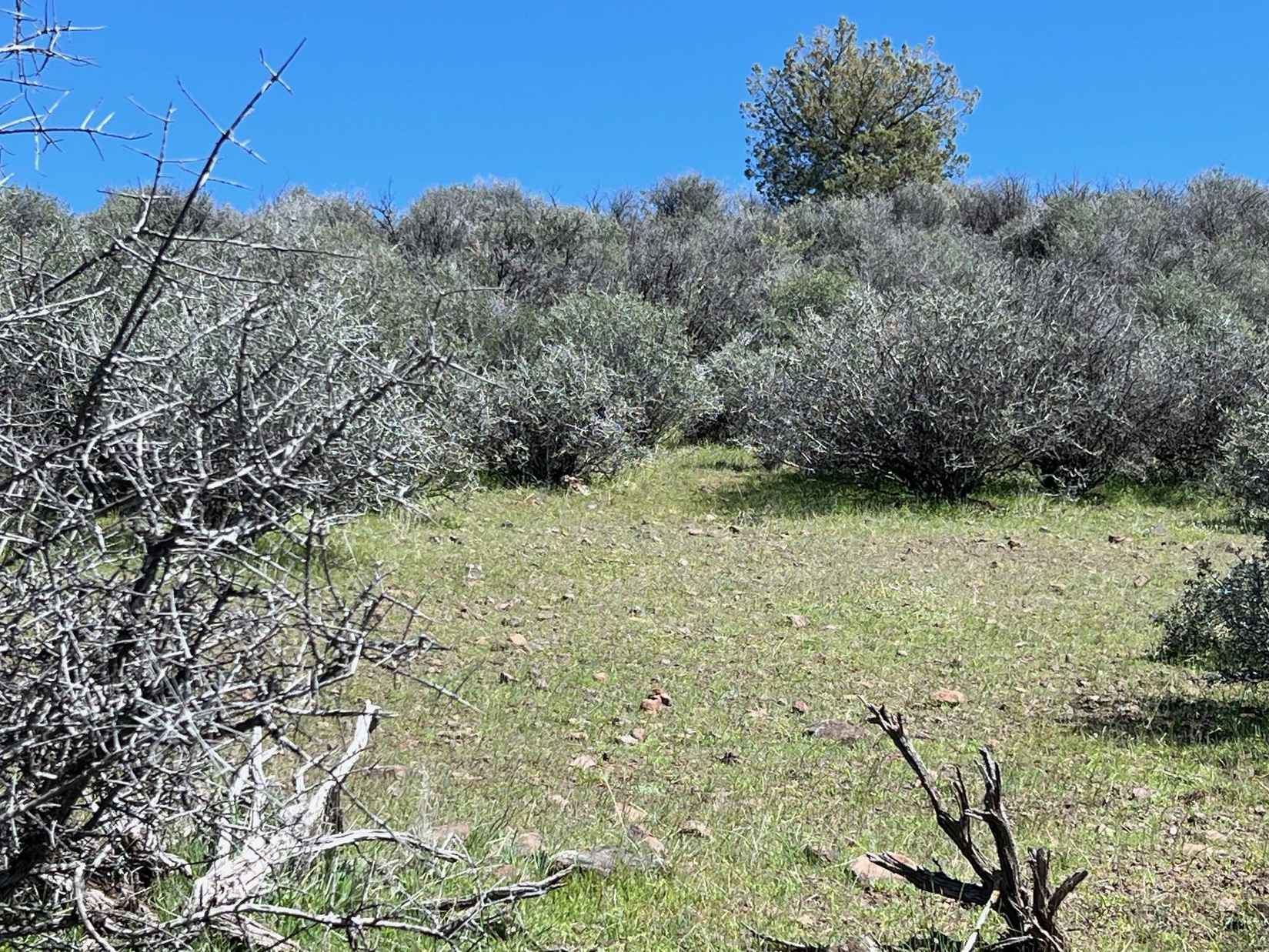 Unit 4 Lot 525 Blue Gill Dr  