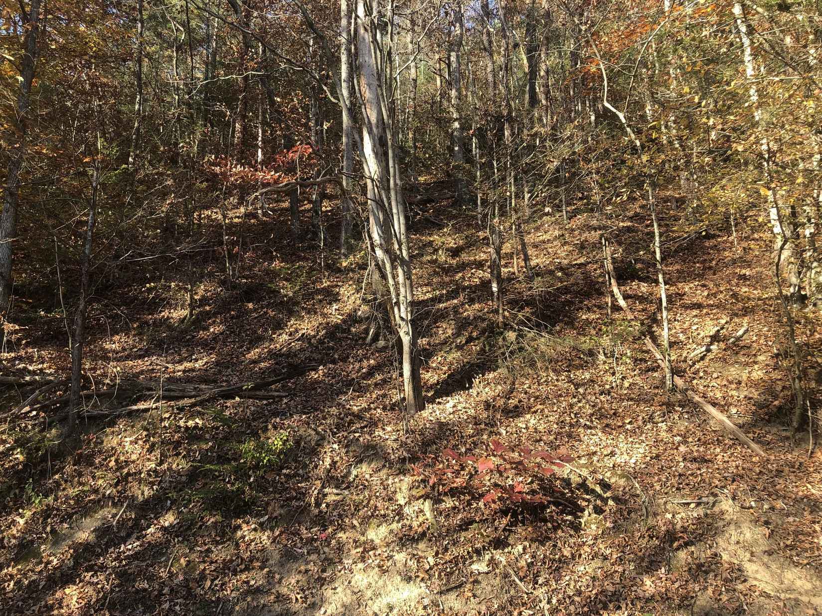 9 24 Acres Henry Town Rd  