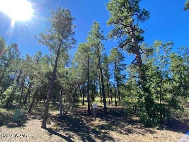 2360 S Pinegrass Rd  