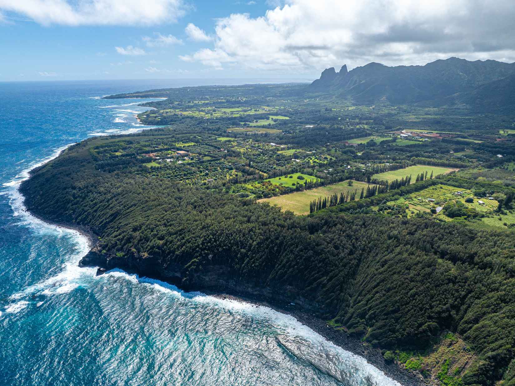Koolau Rd Unit 0024  