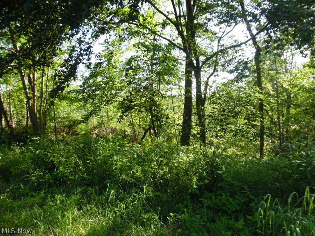 6201 Waterford Rd TRACT 1 Rd  