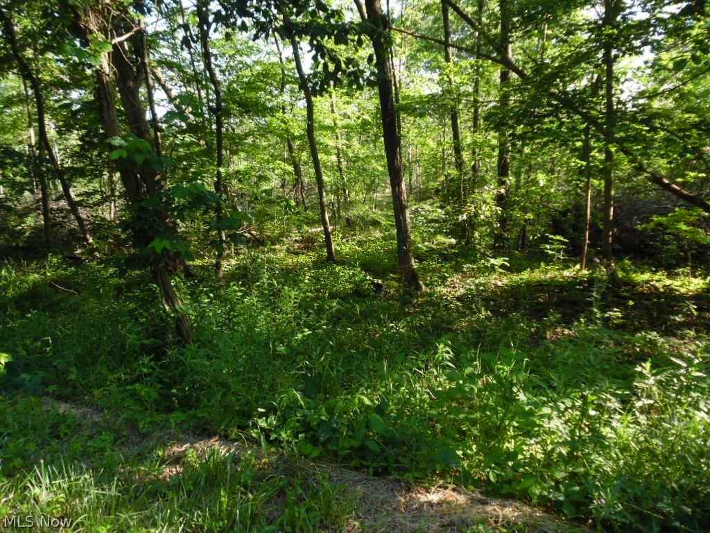 6301 Waterford Rd TRACT 2 Rd  
