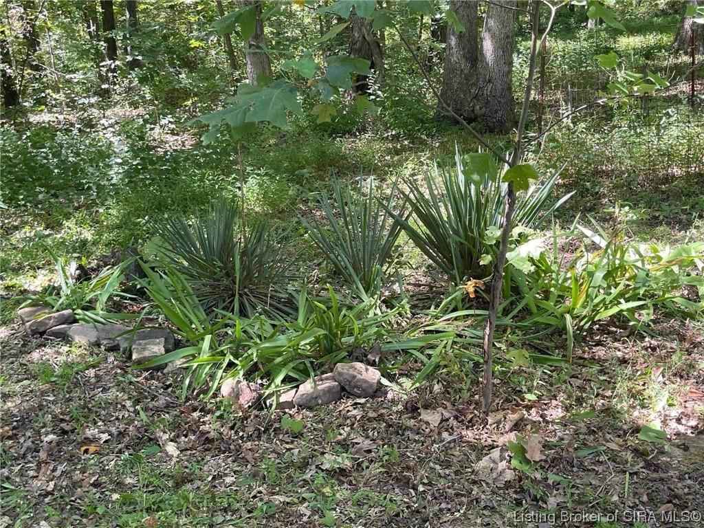 9735 State Rd 37  