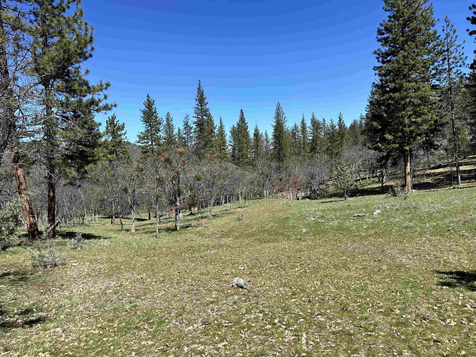 7226 Schulmeyer Gulch RD  