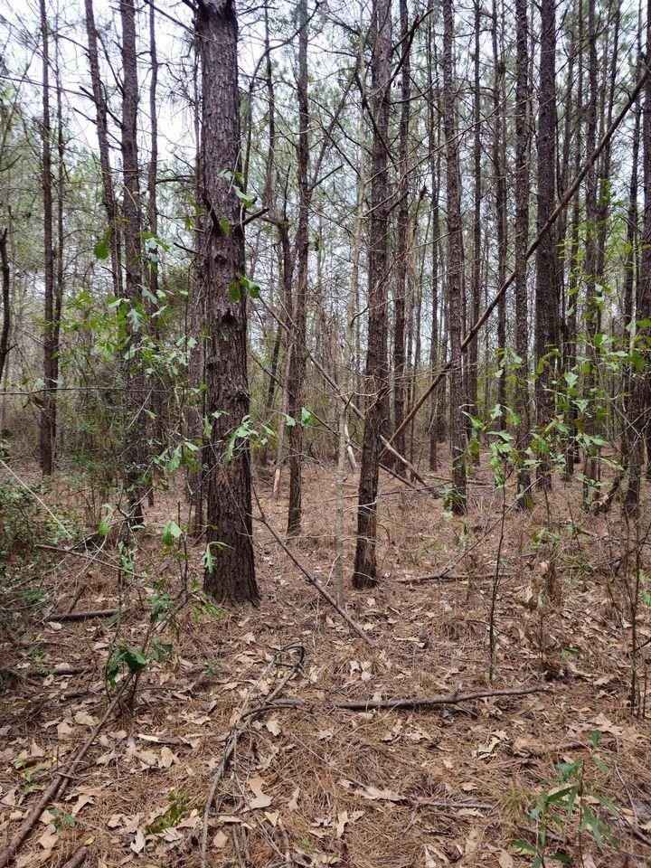 895 County Rd 715  