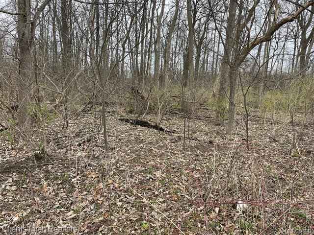 0 Ford Rd Rd  