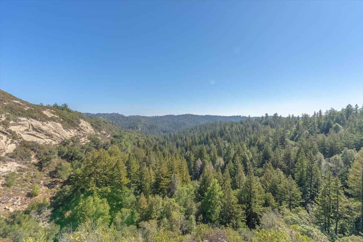 0 Whalebone Gulch  
