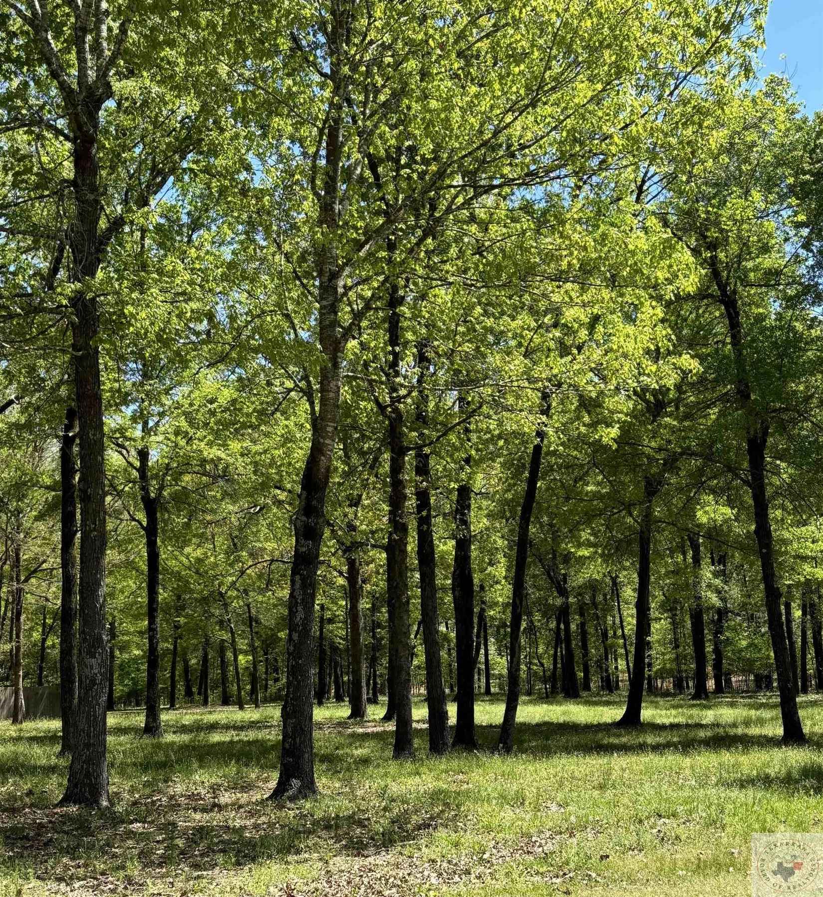 TBD Lot 5 Riv Plantation  