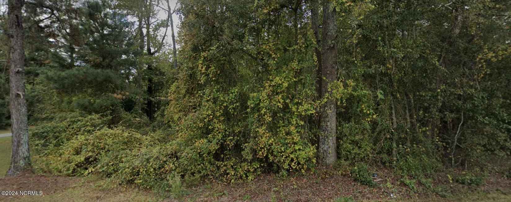 1179 Buck Swamp Rd  