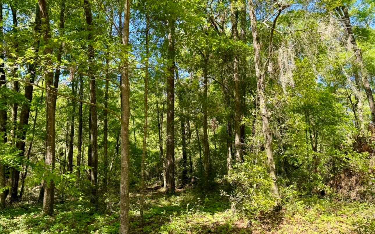 LOT31 NW BUR OAK Pl  
