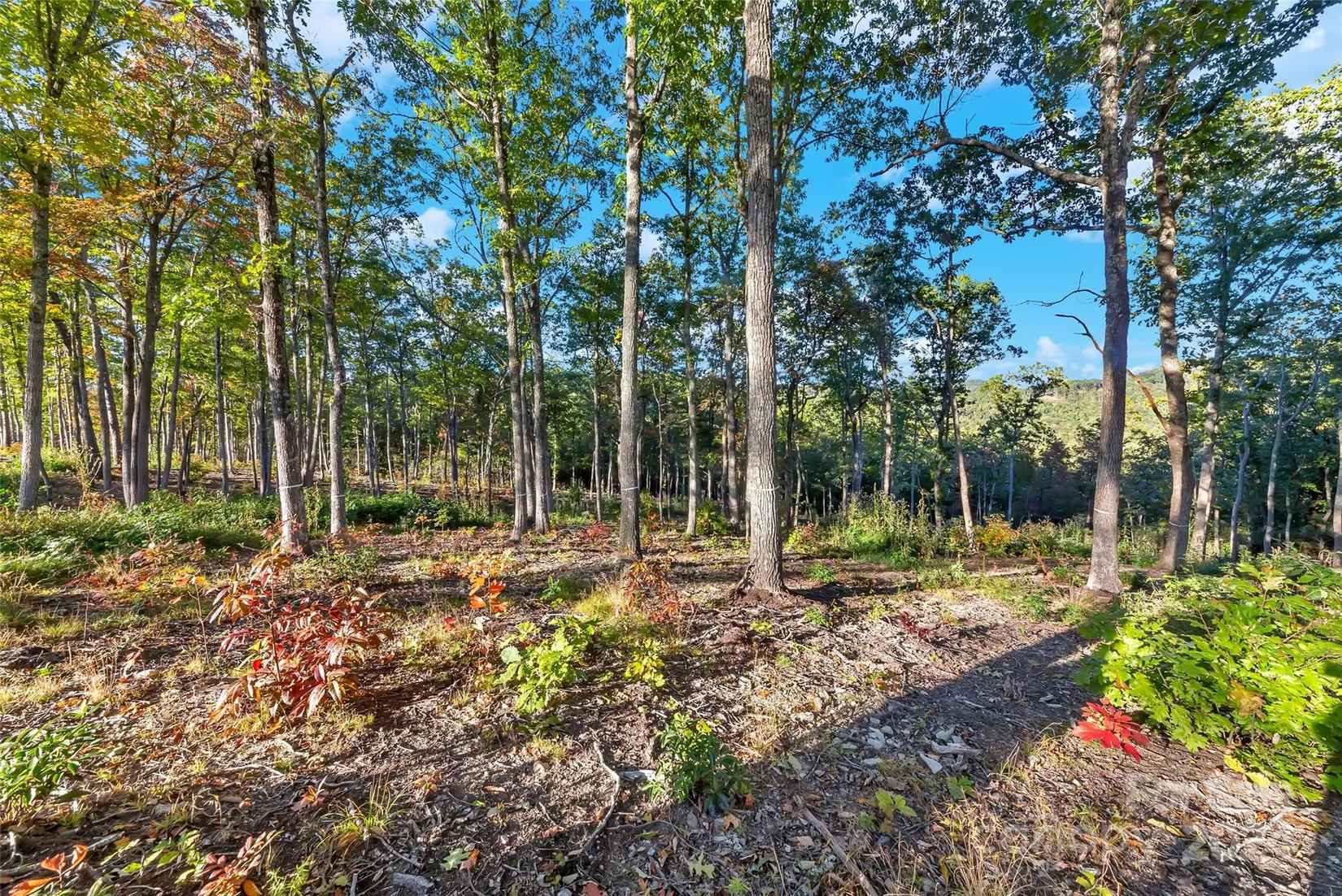 Lot 58 Mountain Grv Ln  