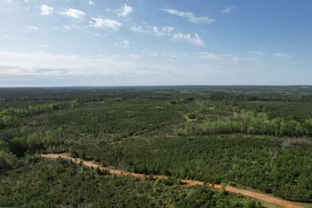 TBD FM 1248 / CR 2217  
