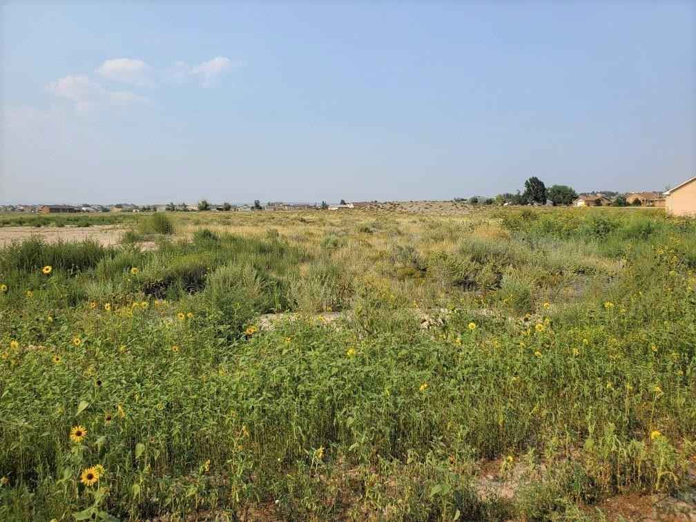 1639 Carrizo Spgs Ave  