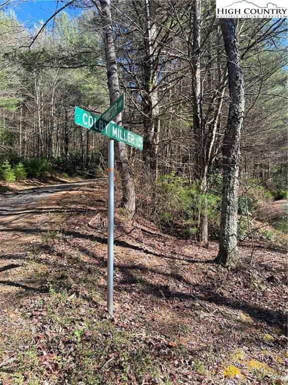 Lot 98 And 99 Colby Miller Rd  
