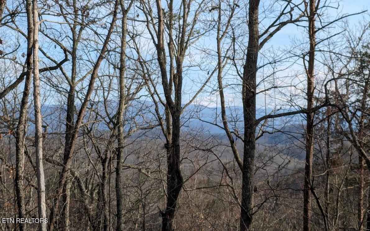 206 Old Citico Rd  