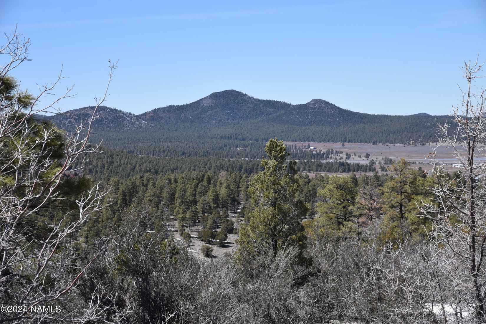 1663 Canyon View Loop  