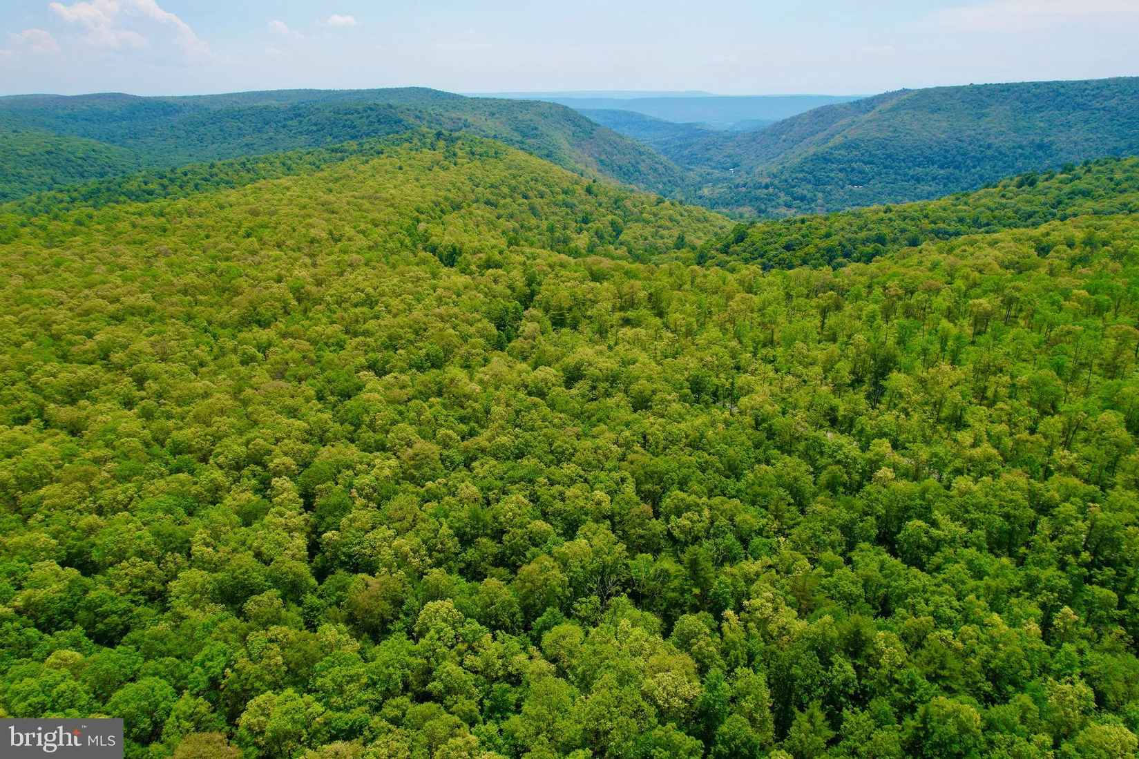 3 BEECH CREEK Mtn Rd  