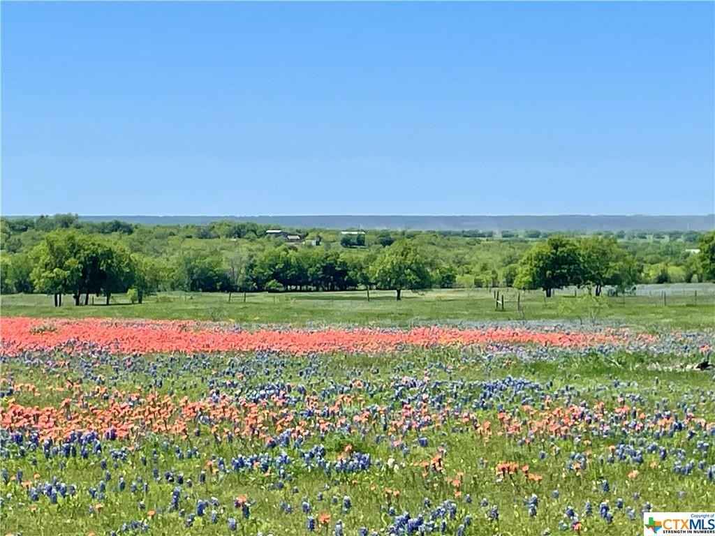 21050 20980 HORNED FROG Rd  