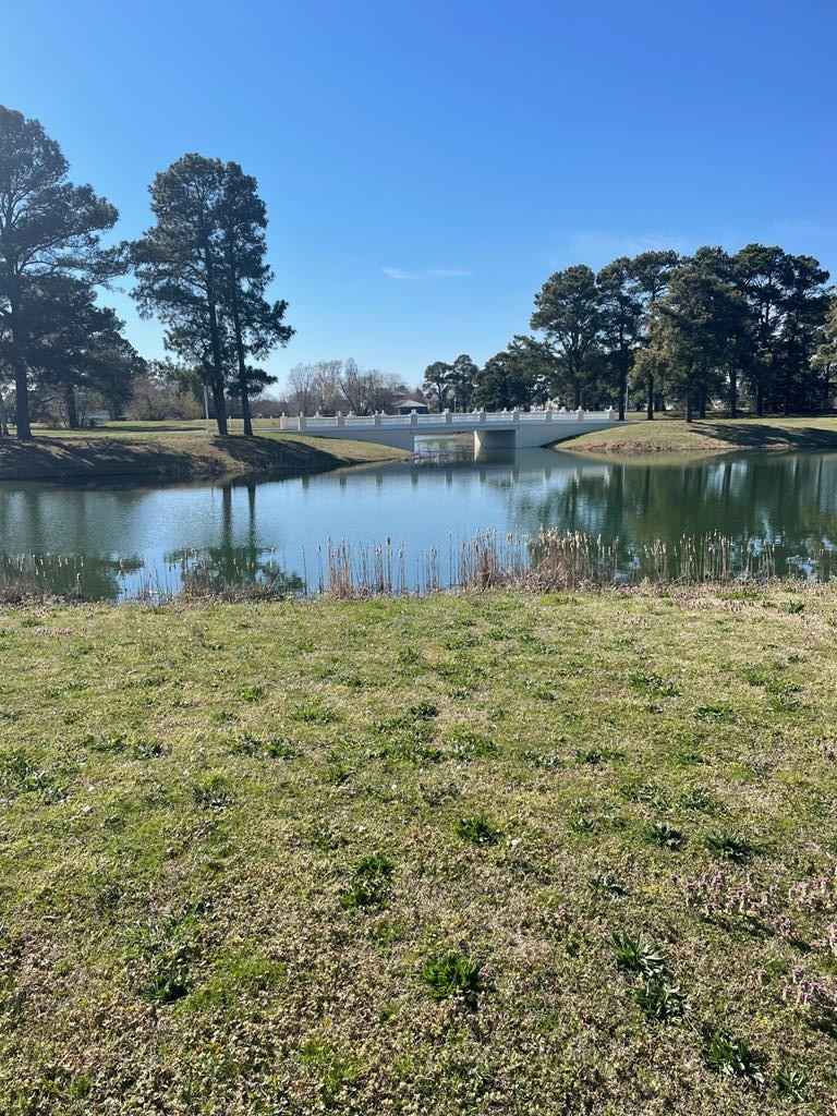 38 BRIDGETON Dr  