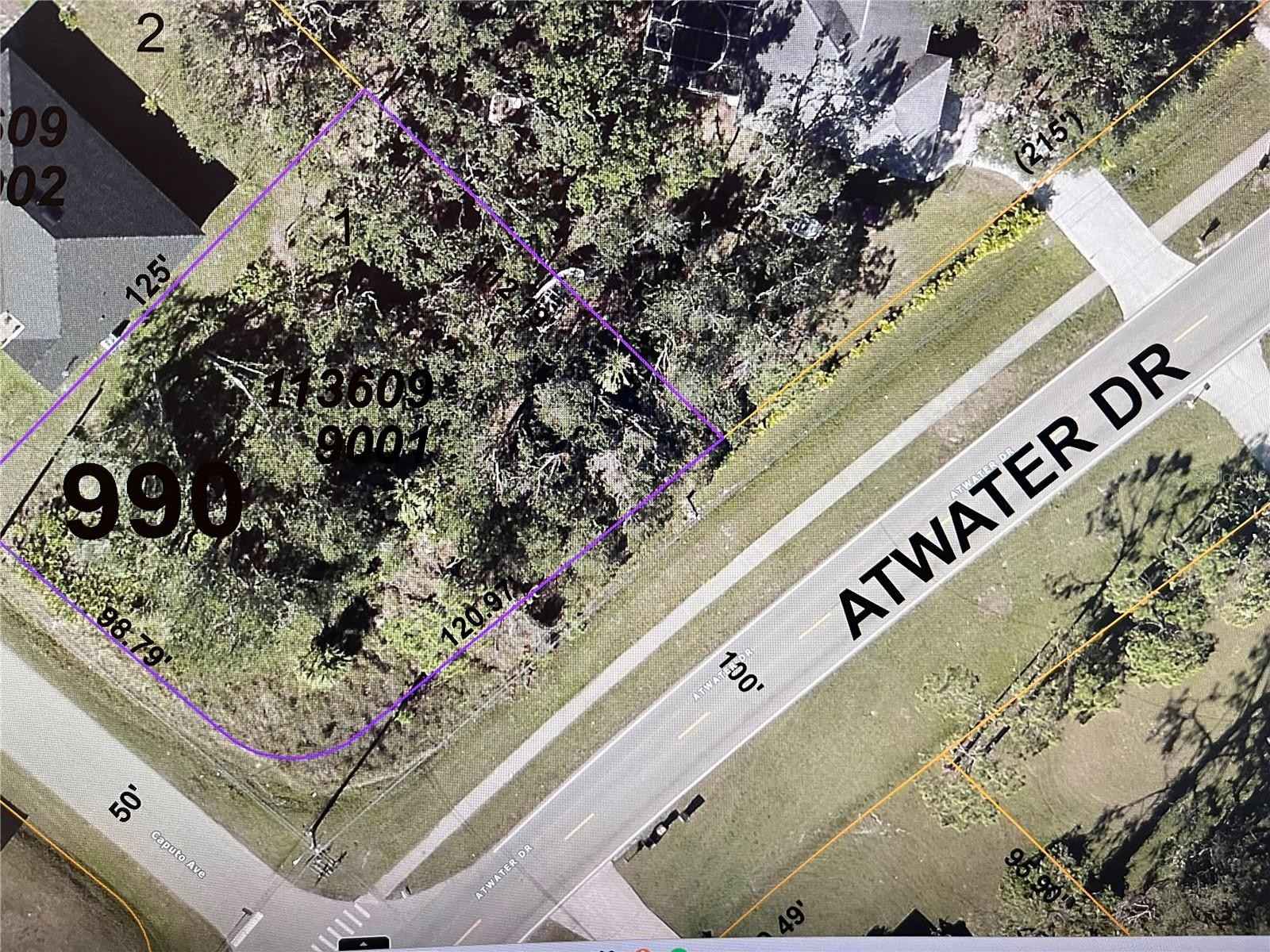 Lot 1 CAPUTO Ave  