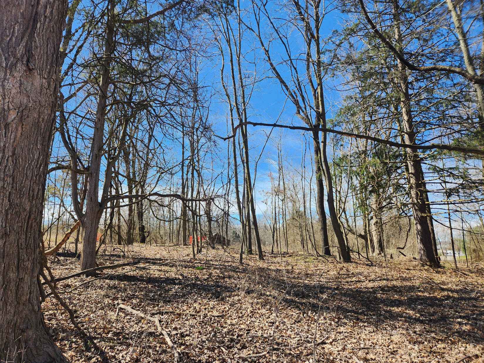 13505 Island Lk Rd  