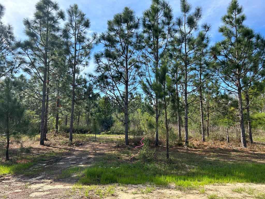 Lot 1 3 -ac Cty Rd 140  