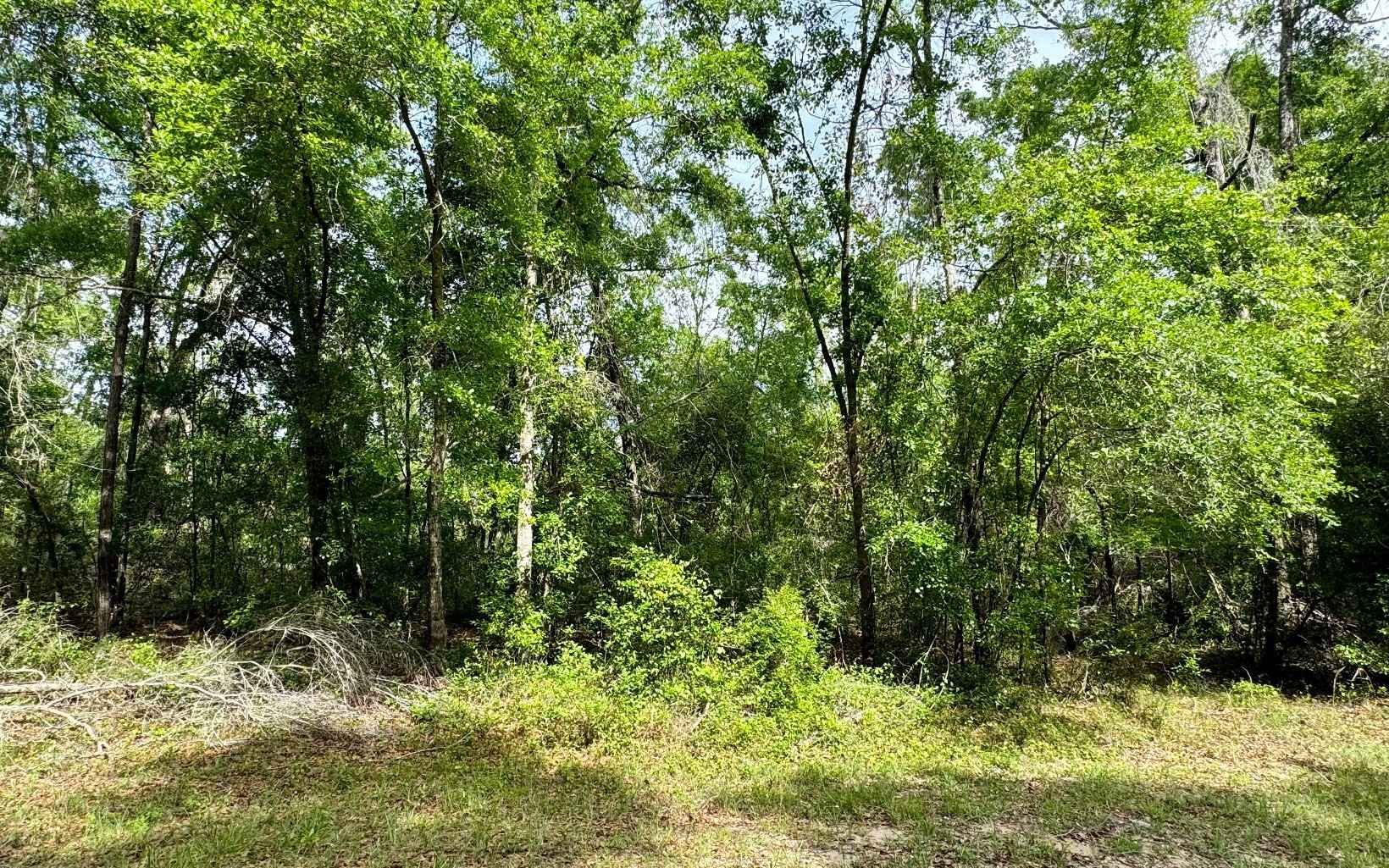 LOT64 NW 29TH BLVD  