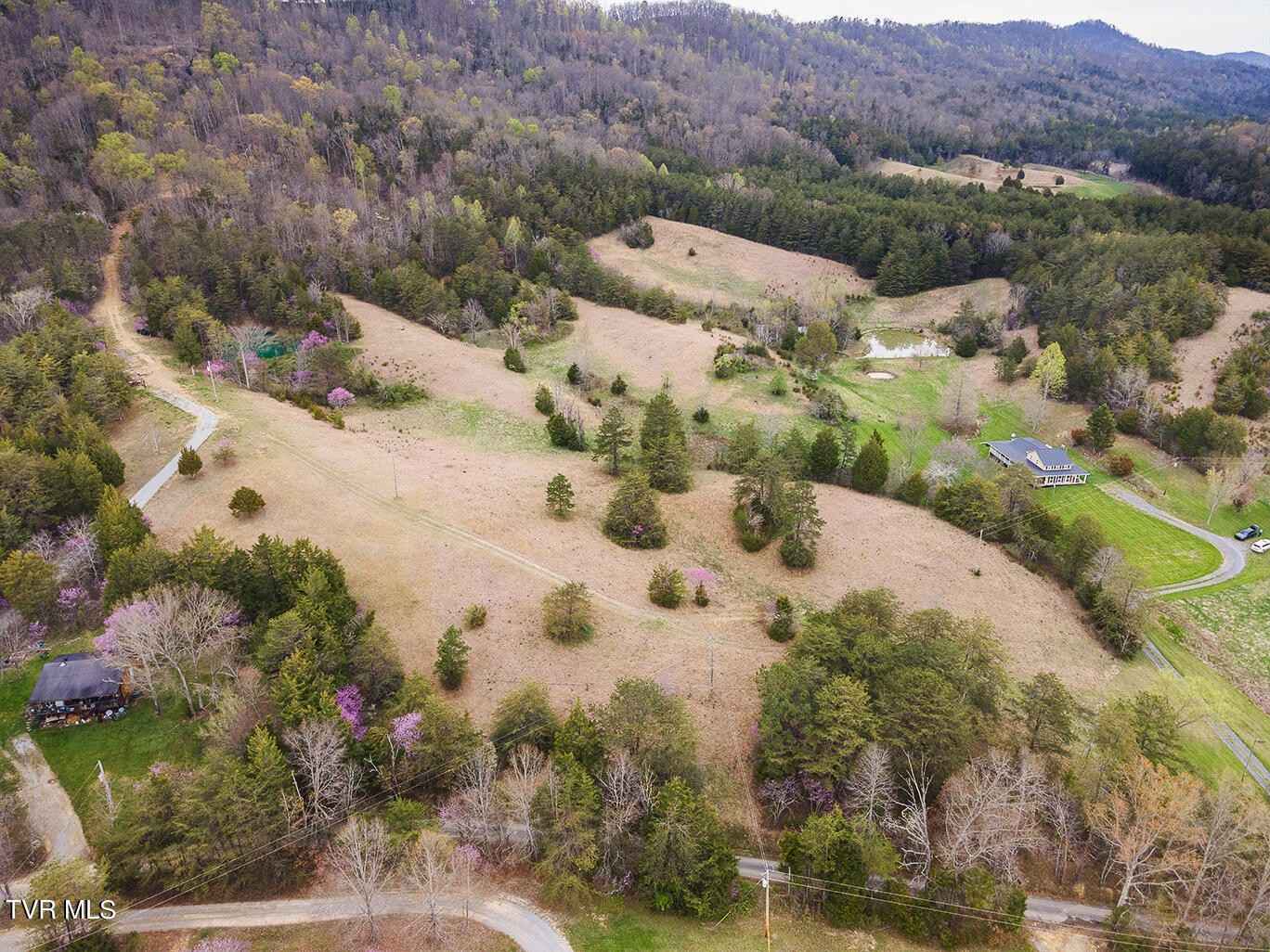 1605 Pilot Mtn Rd  
