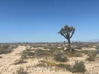 0 Vac/110 Ste/Vic Ave D-4  