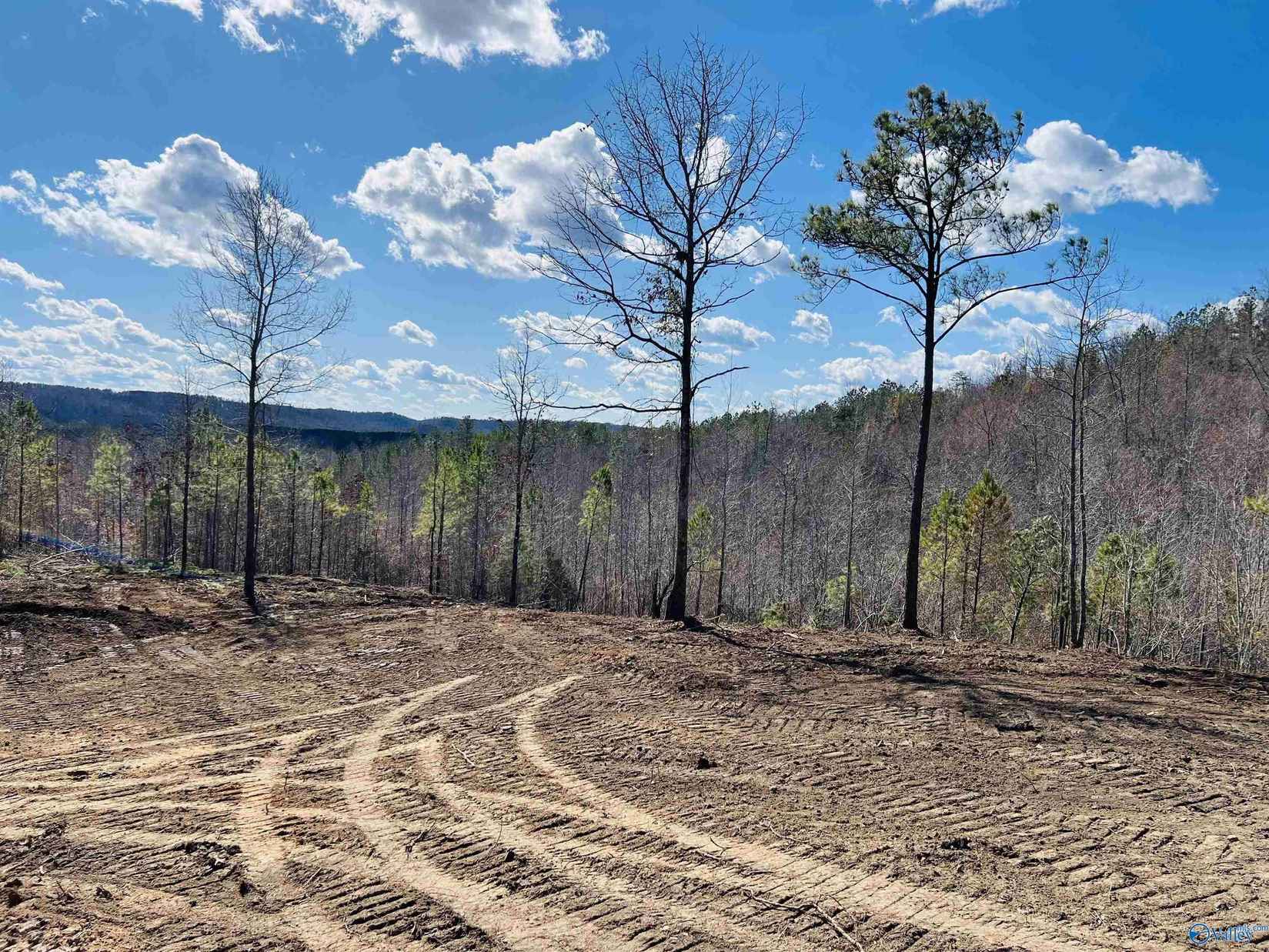 170 Acres County Rd 21  