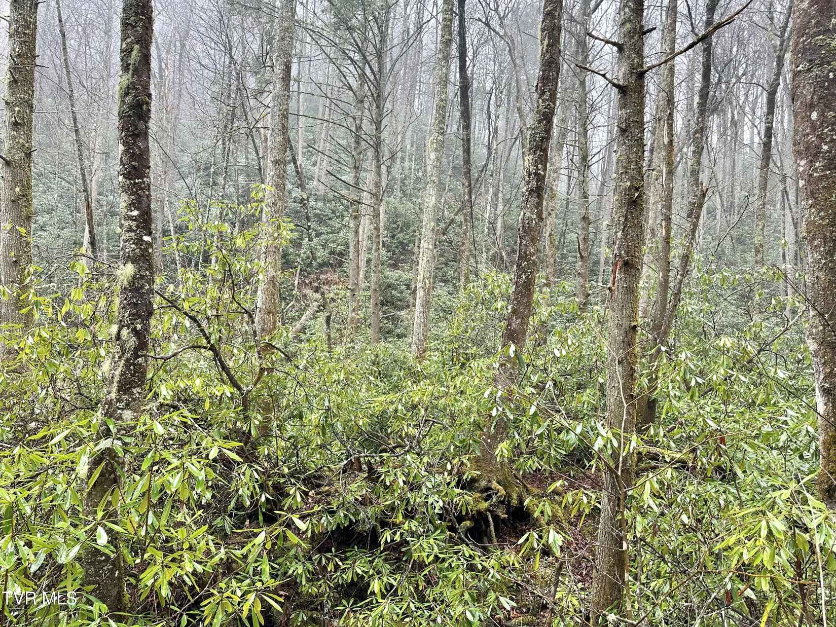 Lot 2-3 Heaton Br Rd  