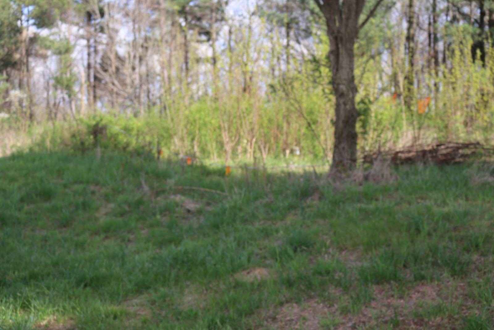 3532 State Route 2270 West  