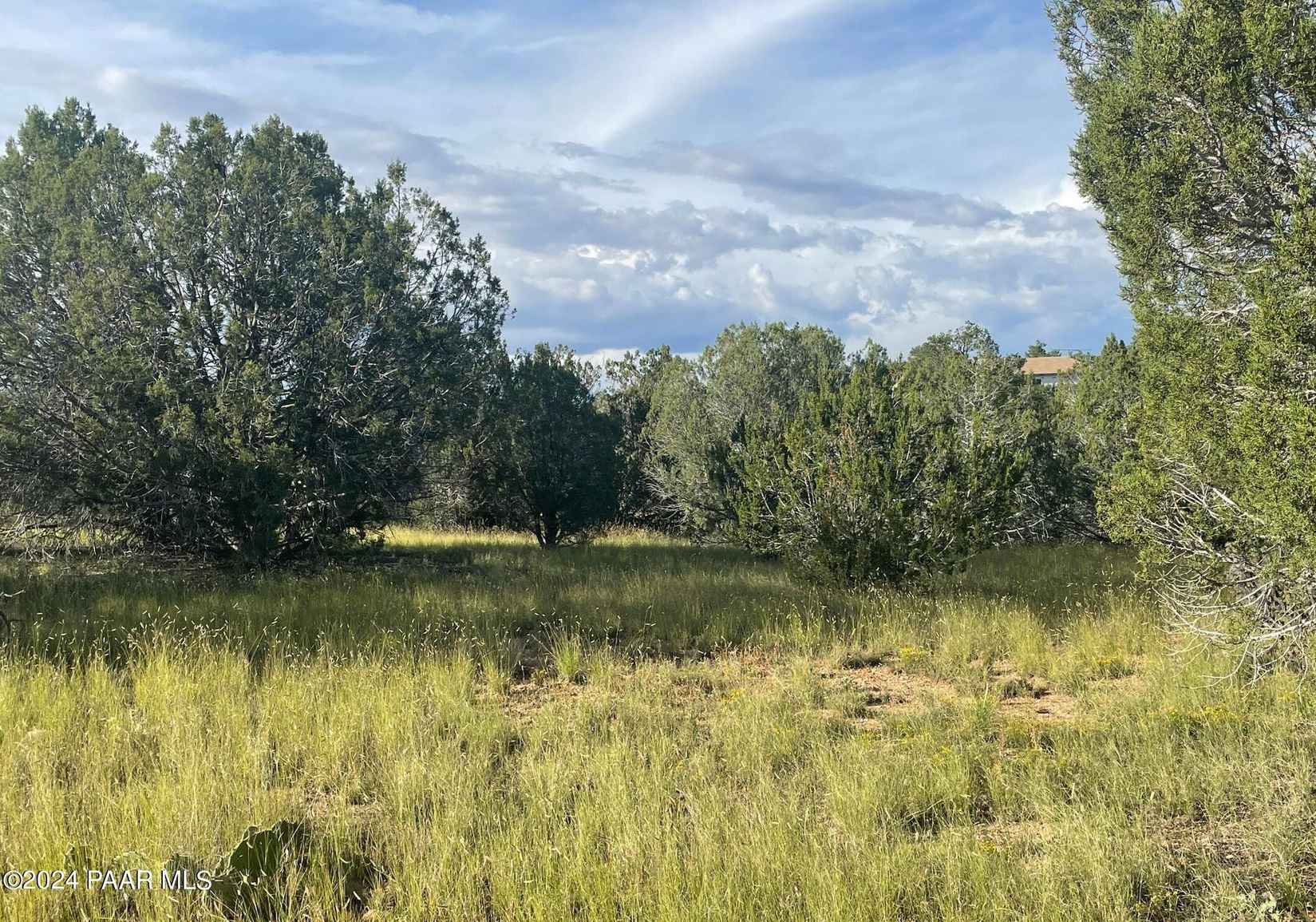 32956 W Conejo Rd  