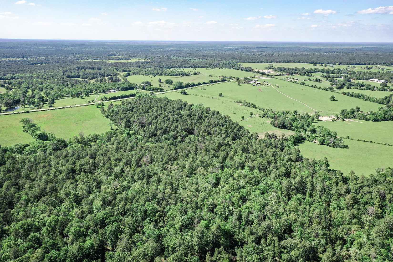 30 Acres Tract 4 FM 946 N  