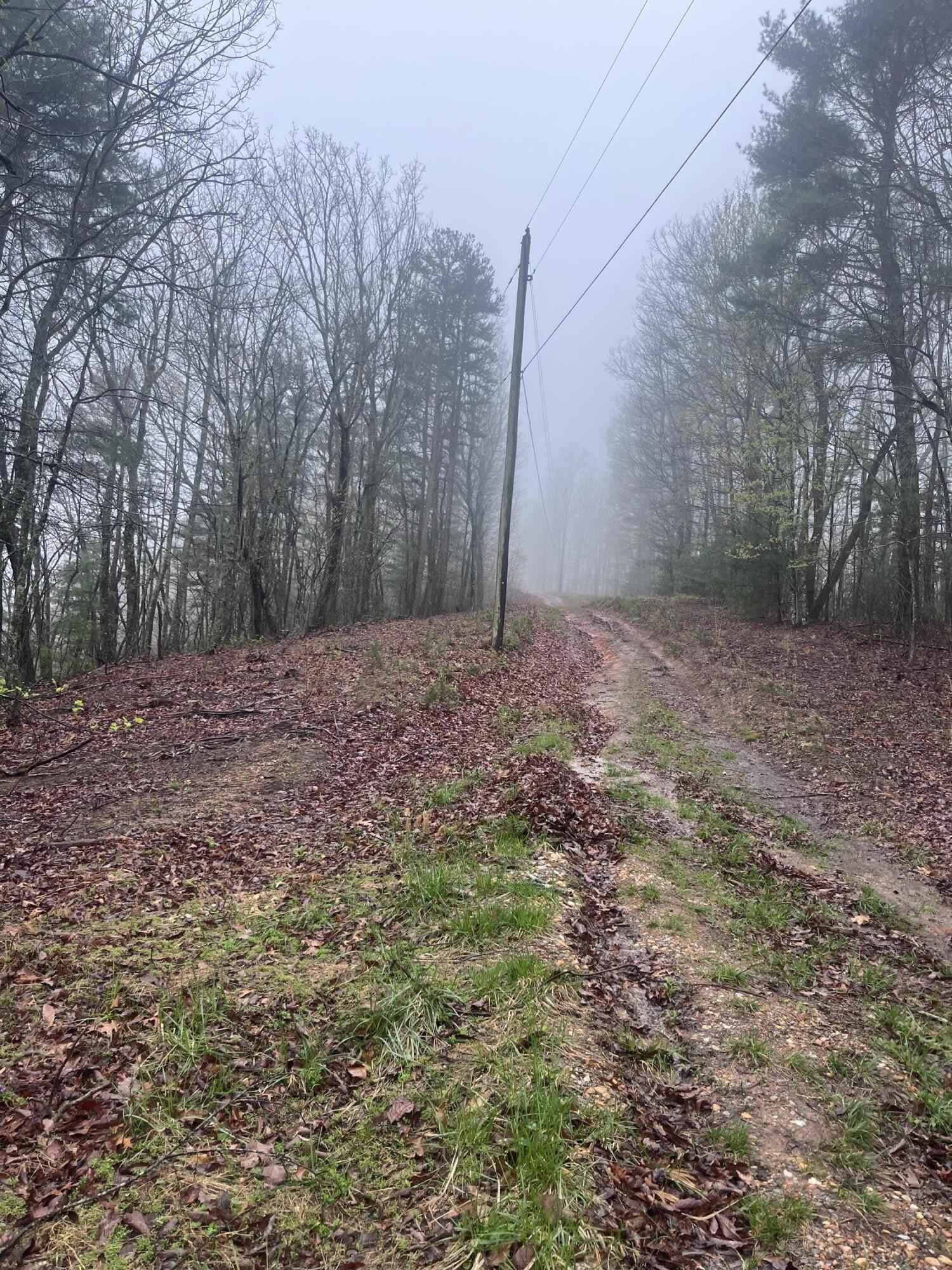Lot 5 Black Mtn Rd  