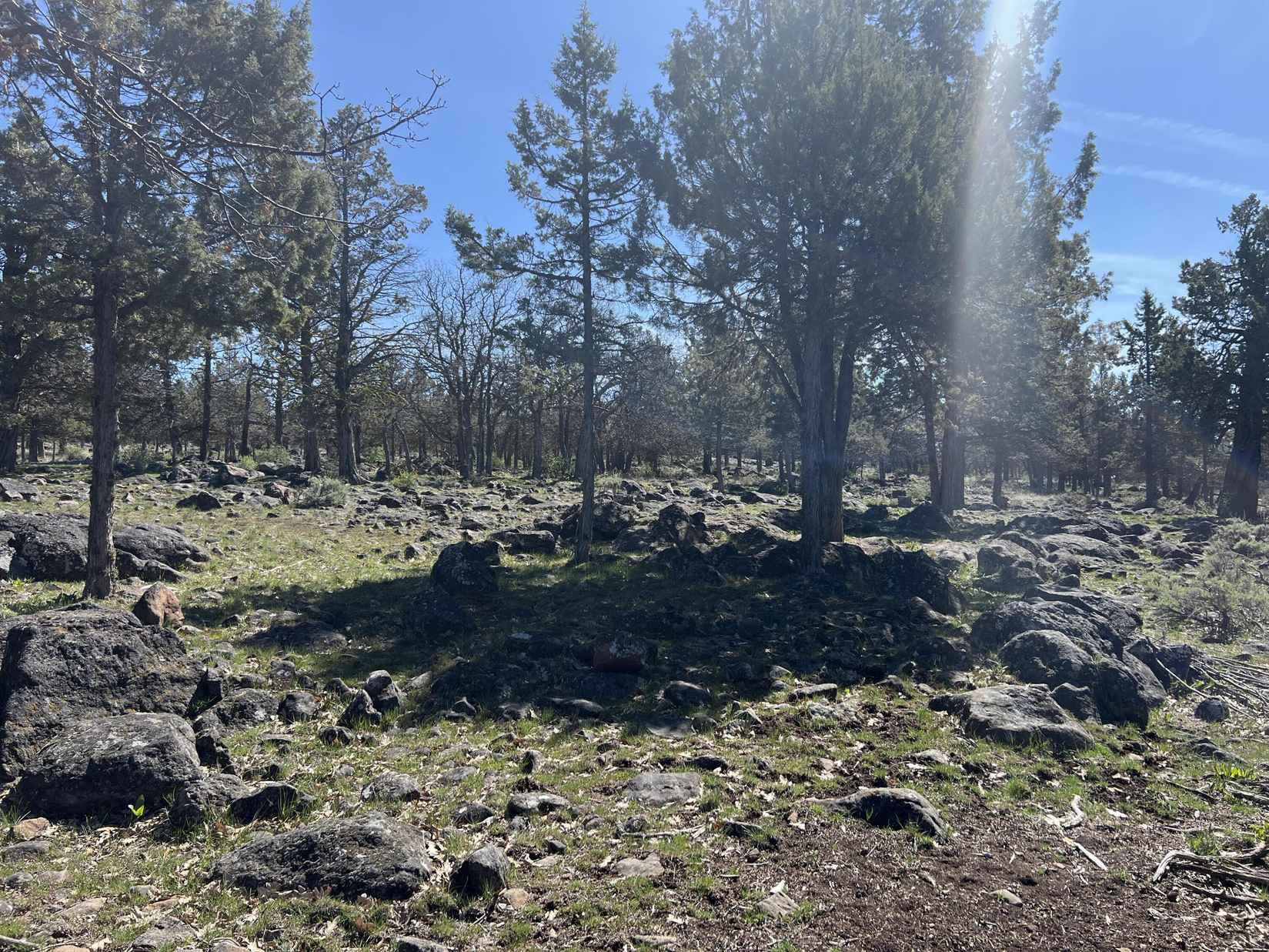 Lot 506 Dowitcher Rd  