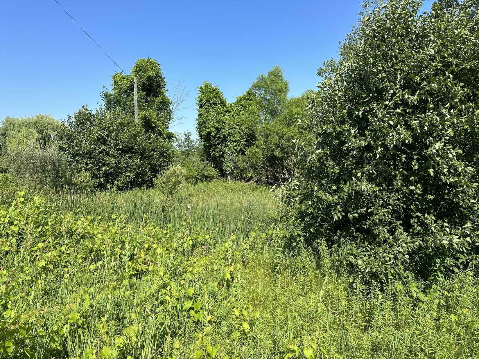 00 N Custer Rd RD  