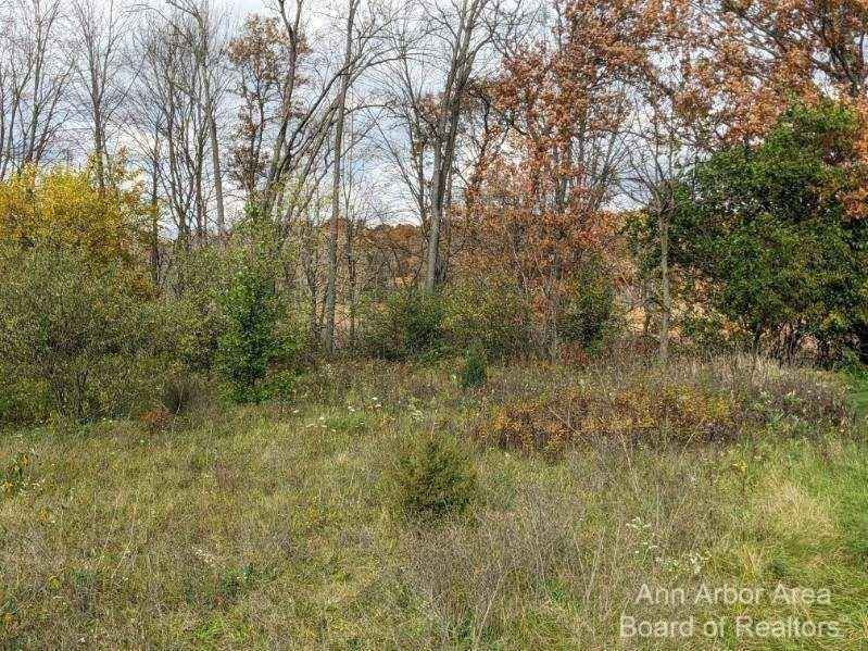 0 Clivedon Rd Unit 6  