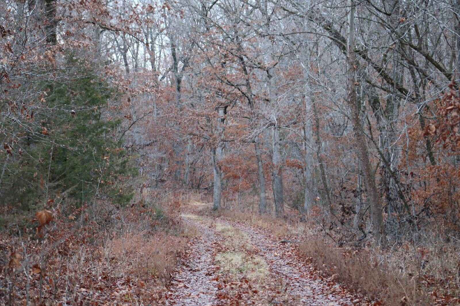 Lot 9 Mt Eagle Escape Dr  