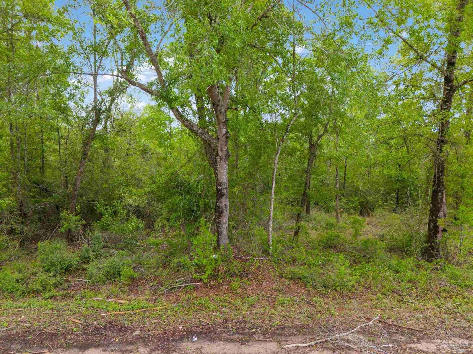 Lot 23 Mineral Spgs Rd  