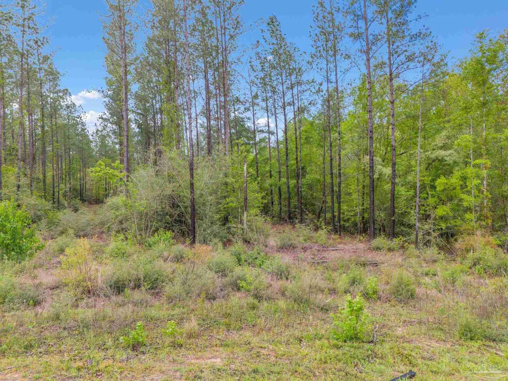 Lot 8 Mineral Spgs Rd  