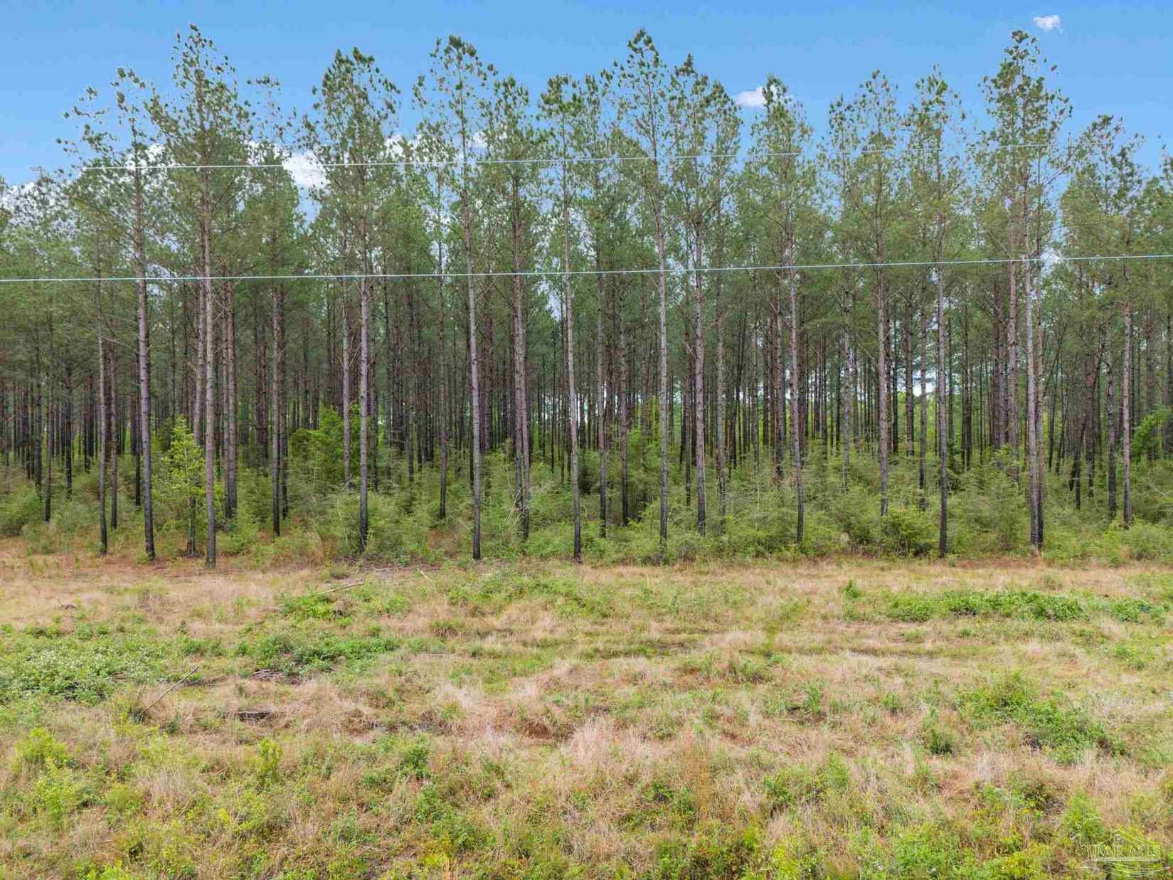 Lot 2 Mineral Spgs Rd  