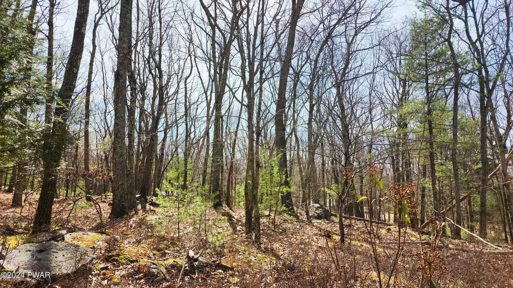 Lot 34-36 Neversink Rd  