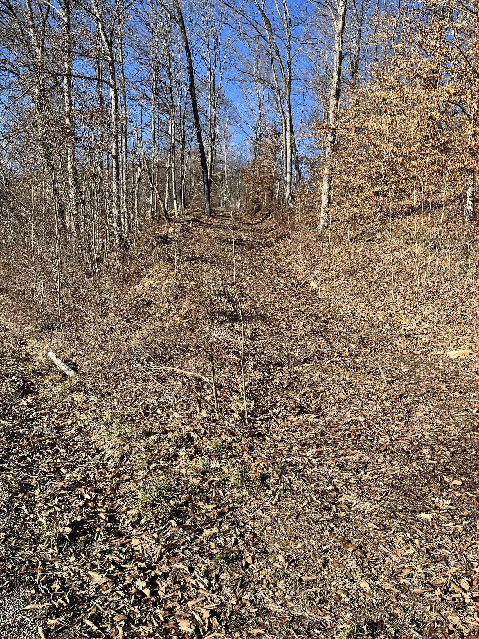 0 Hickson Run Rd  