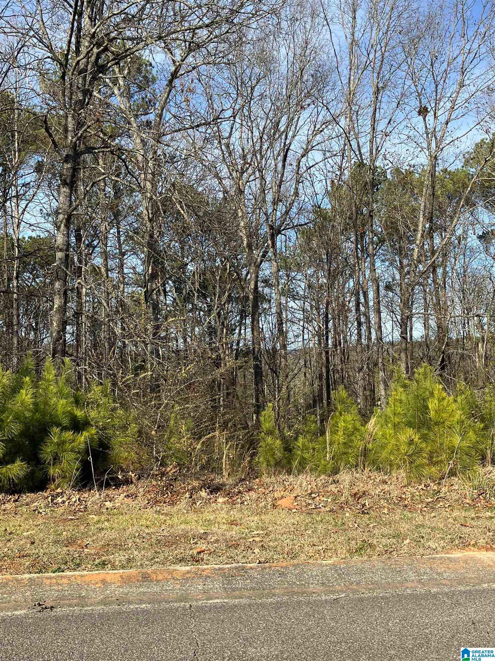 11 Woodland Hills Unit# 11  